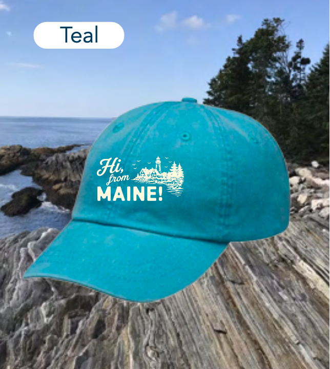 HFM Dad Hat